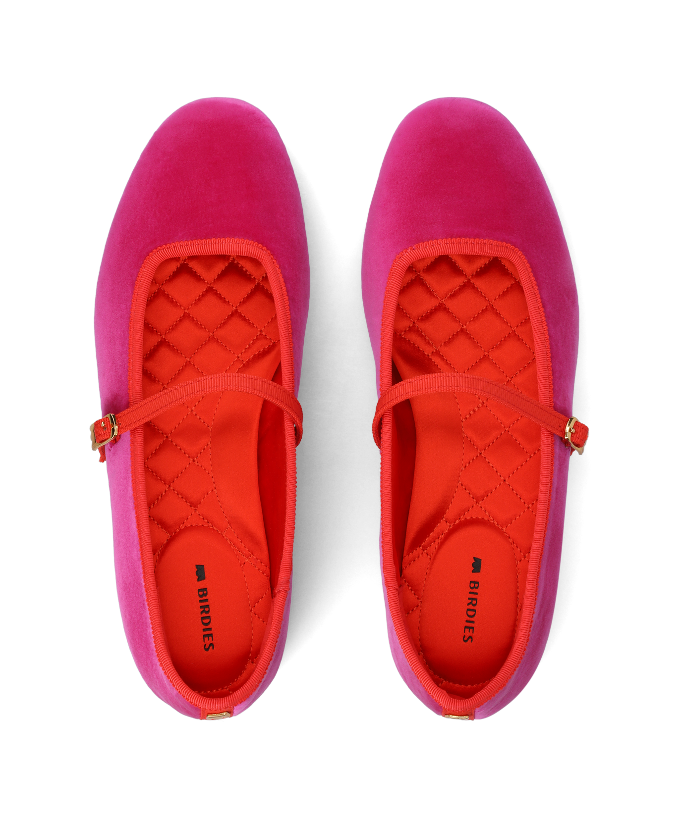 HMJ-HPV_WEB2.png