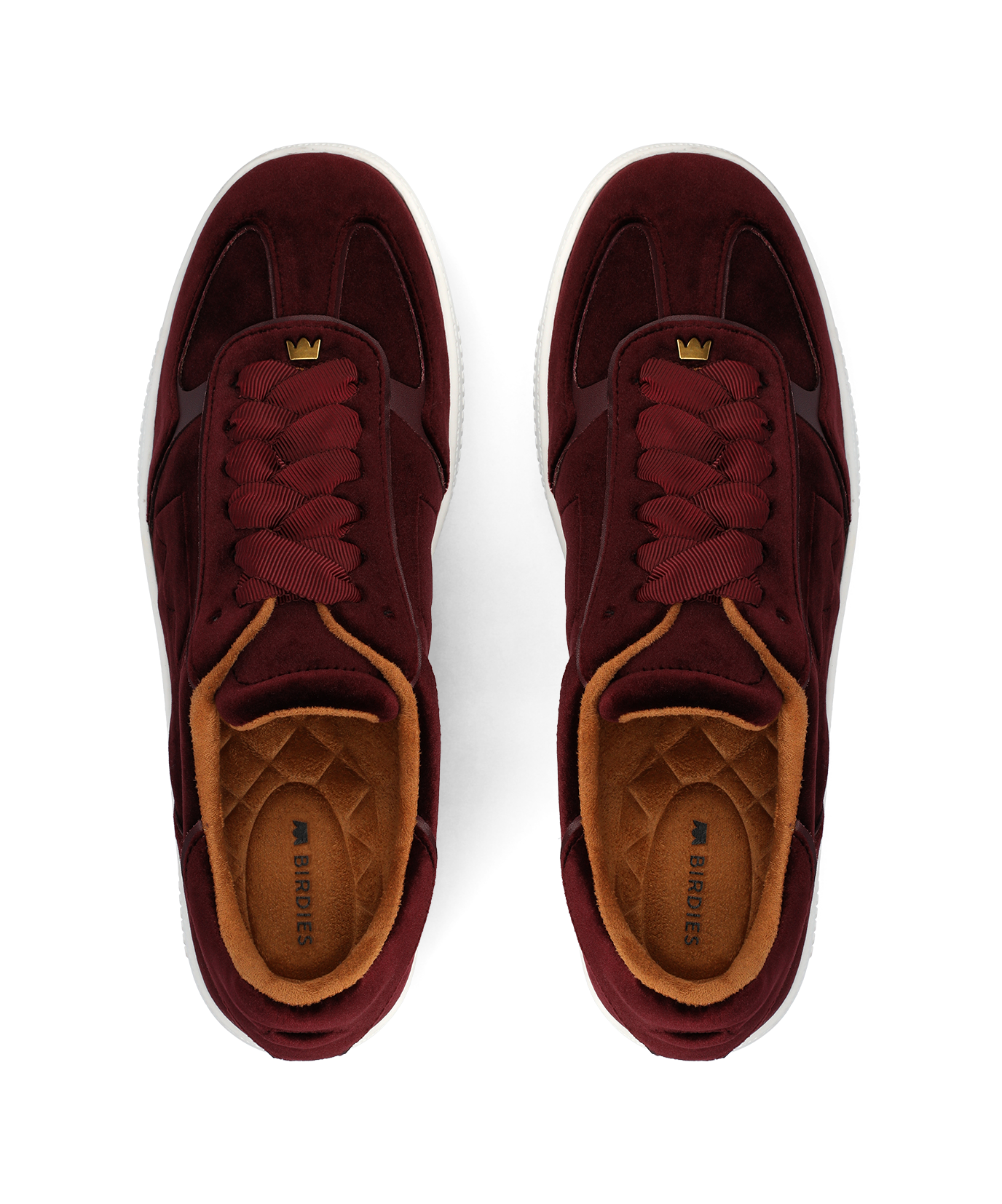 JSN-BRV_WEB2.png