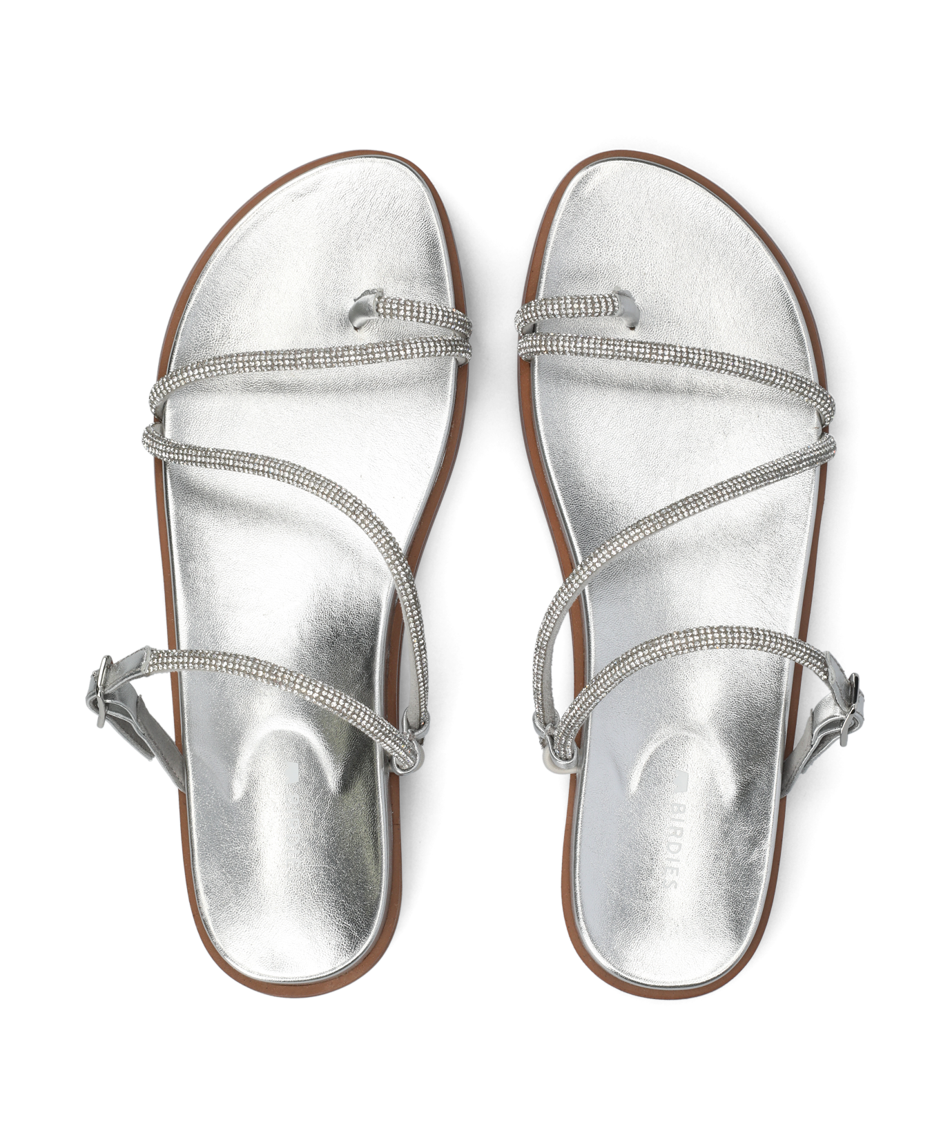 SUN-CSJ_WEB2.png